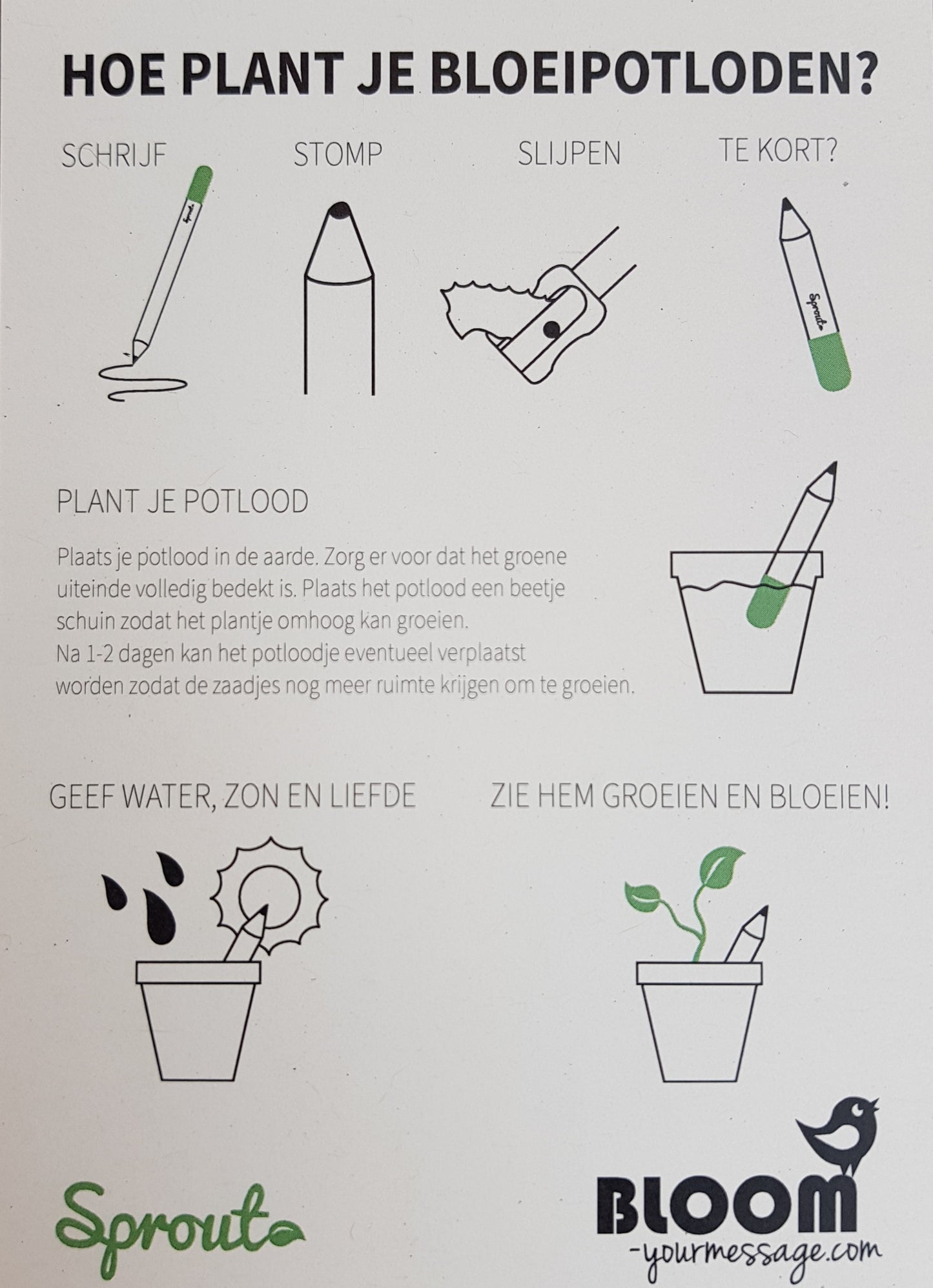 Bloeipotloden - Madeliefje