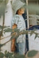 Balder Shorts - Blue Fog